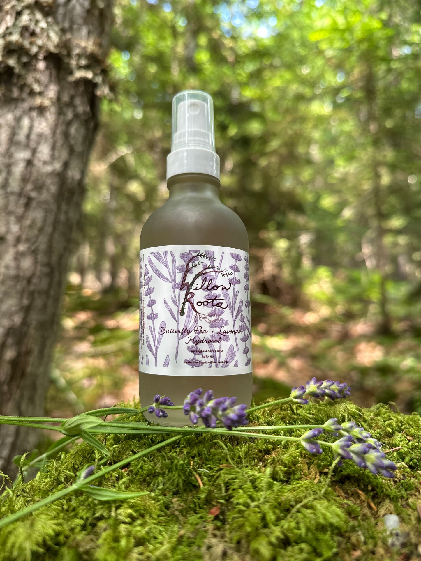 Butterfly Pea and Lavender Hydrosol