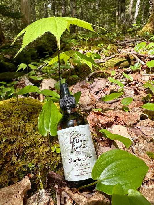 Gentle Glow Oil Cleanser